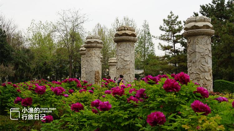 海淀|小长假去哪玩？西安春天最美的地方，地铁可达没门票，值得一去