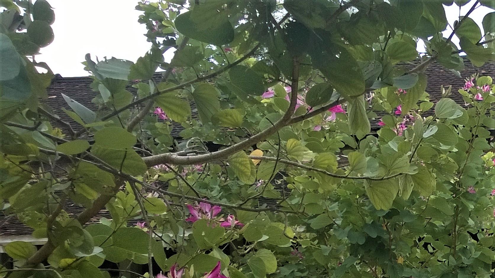 民营企业|职场上，如何指出别人的错？