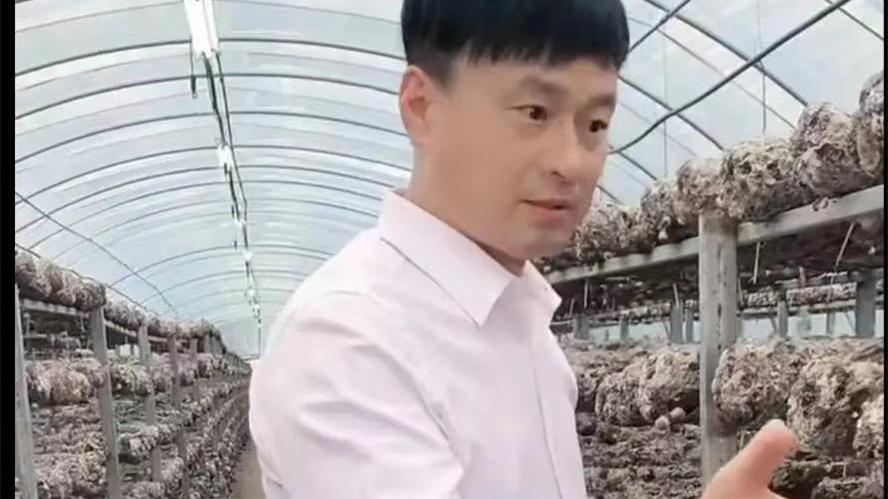 张子枫|王老七回应被开除：太幸运了，不用赔违约金，几亿资产不愁吃喝