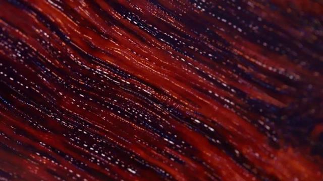 小叶紫檀|关于金星小叶紫檀，你不知道的那些事！