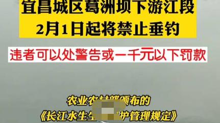 宜昌|宜昌钓友悲剧了, 2月1日起, 史上最严禁钓, 一杆一线一钩都不能玩了