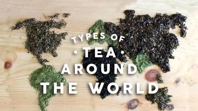 美丽|全球十大茶文化，你了解哪几个？