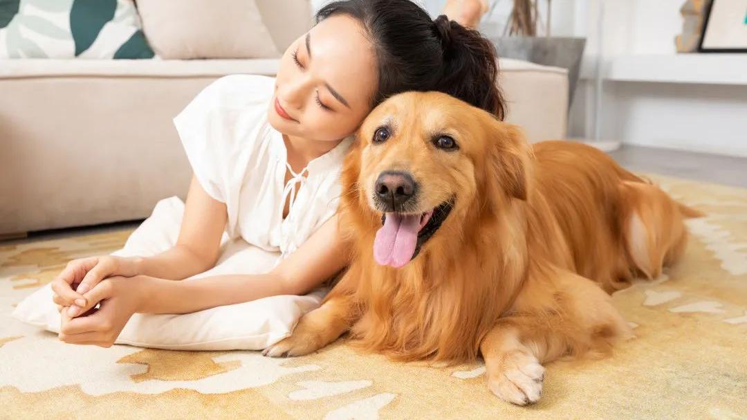 胆固醇|好心情给您远离失眠和焦虑的4条有效建议