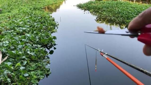 饵料|初夏野钓“鱼口难开”？位置是关键，找准这“5处”，想空军都难