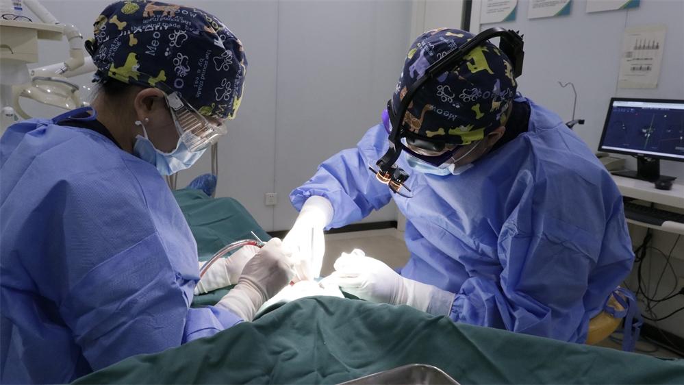 穿孔|拔牙后上颌窦穿孔？上颌窦瘘修补术了解一下