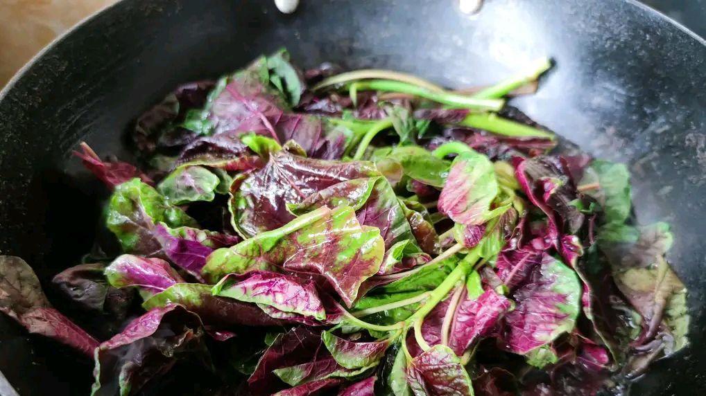 白血病|秋天过半莫疏忽，提醒中老年人：多吃“4样宝”，清热营养解秋燥