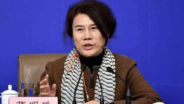 衬衫|孟羽童“高开低走”？被众嘲“土胖丑”，颠覆了董明珠接班人说法