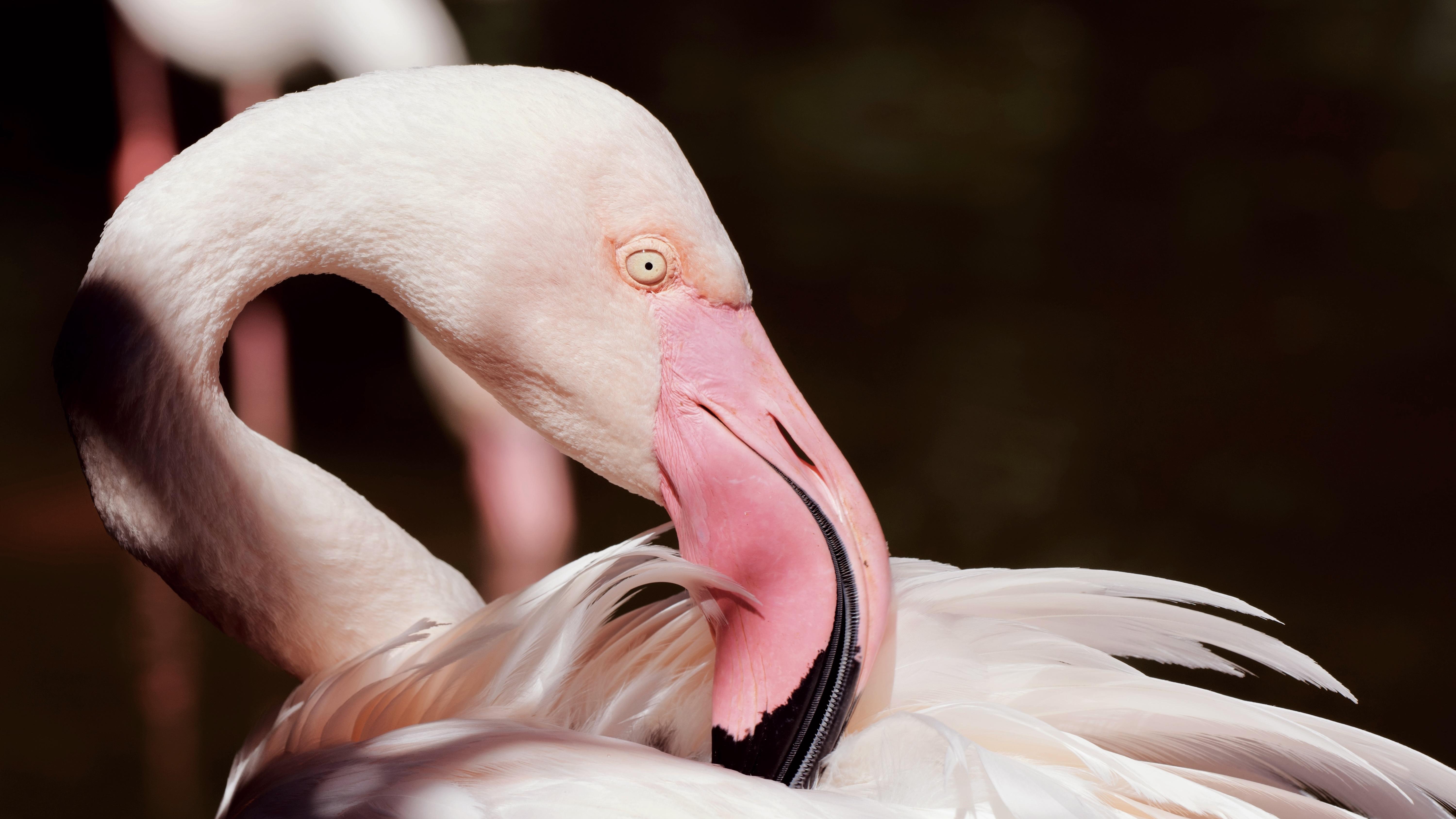 |和同事关系再好，也不聊这10个话题，小心被当枪使，早知早受益