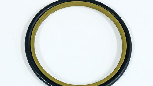 东晟密封科技：格莱圈与斯特封的差别