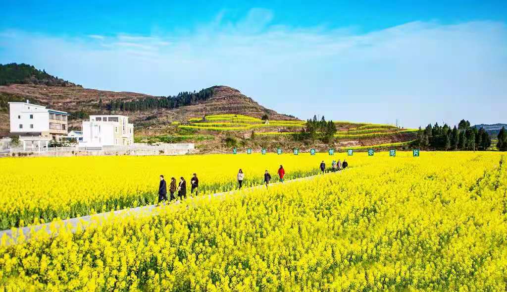 鳝鱼|外婆的丸子汤 真美