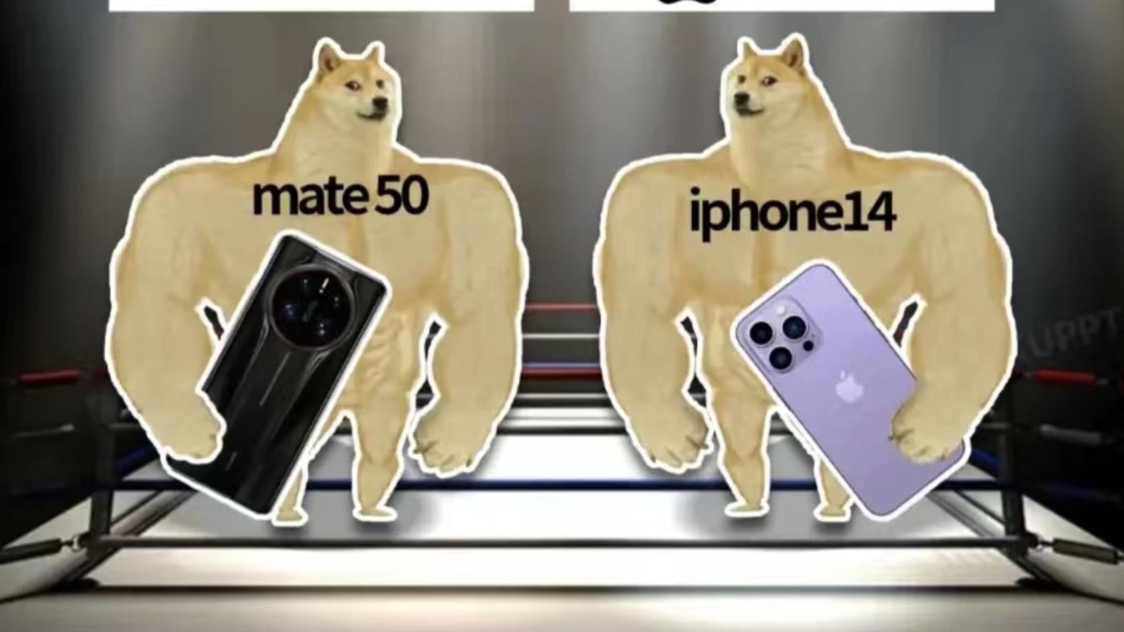 |不同价位段手机活跃用户占比，你的手机是在哪个段位？