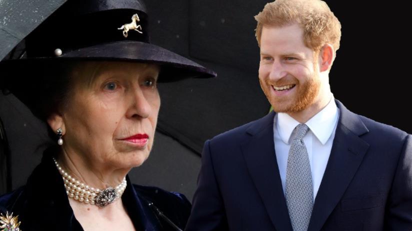 安妮公主|安妮公主才是预言家，一眼看穿梅根小伎俩，曾极力劝说哈里退婚