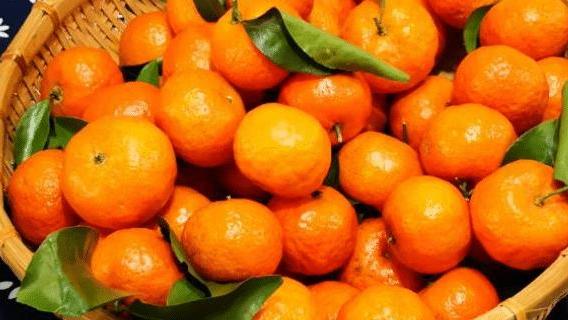 你家里还在吃“砂糖橘”吗？现在清楚还不晚，看后记得告诉家人