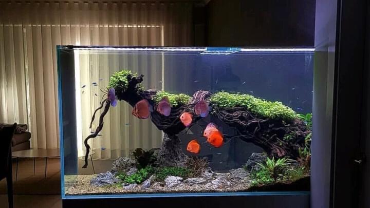 初衷，是为了提升生活品质，没想到后来却沦为鸡肋的9款家居