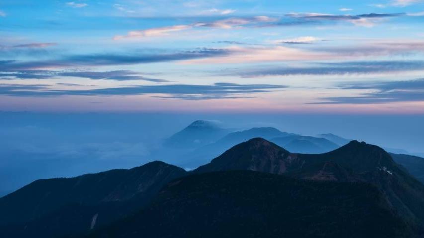 |家电市场经营首要挑战是心态崩了