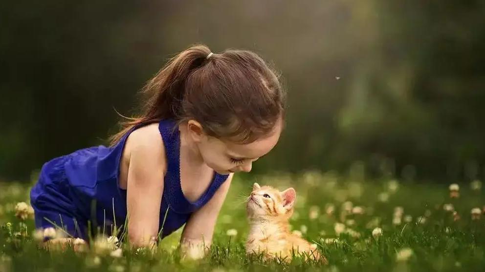 关于宝宝免疫力的误区，你踩中几个？