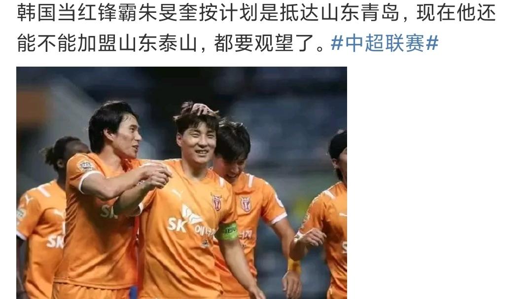 |下树！大鱼来了，山东泰山王朝拼图完成