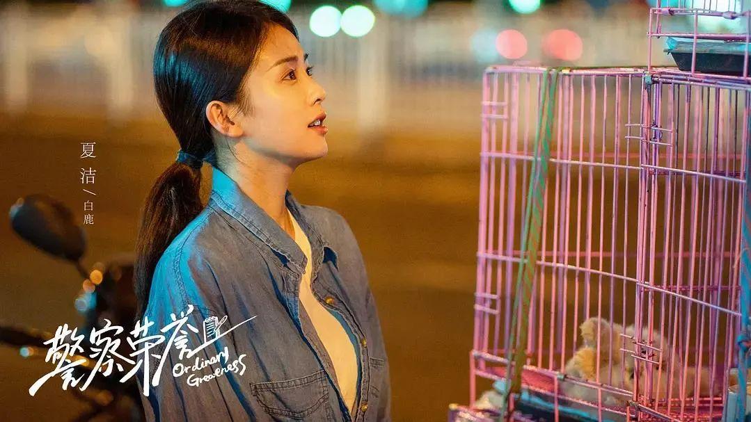 秦岚|《警察荣誉》公主病嫁给闷葫芦，结局只剩一地鸡毛