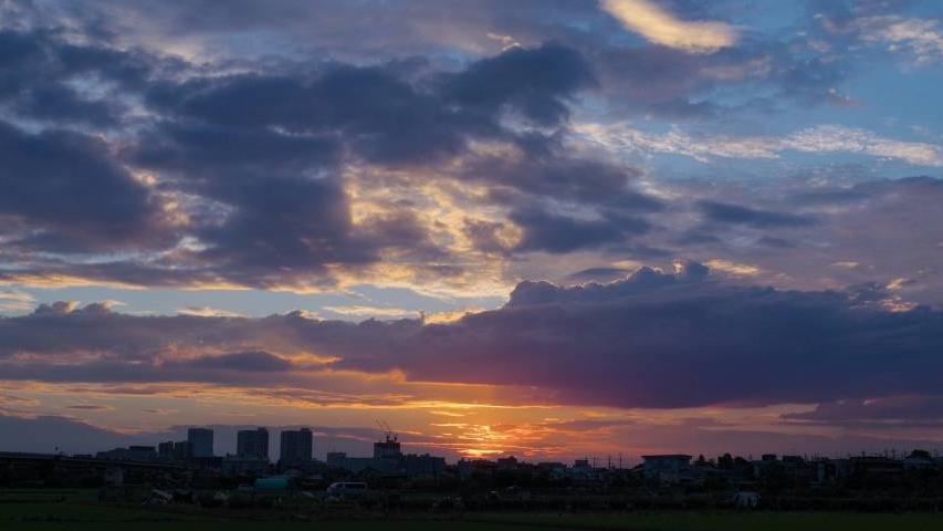 家电企业|家电线下渠道商的生机与死胡同