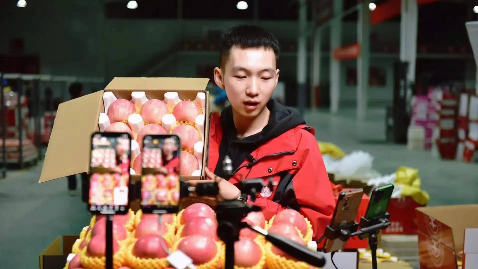 中国苹果看陕西，陕西苹果看洛川