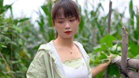 |网红严素穿露脐装摘莲蓬，不去莲子心遭吐槽，网友：已拉黑