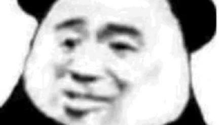 考研|我，考研失败，找不到工作，怎样才……