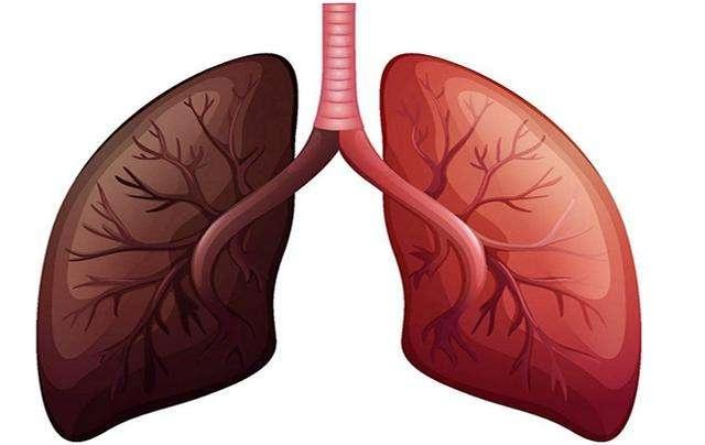 疾病|它是人体自带的“养肺药”，经常揉一揉，通肺气，远离咳嗽和气喘