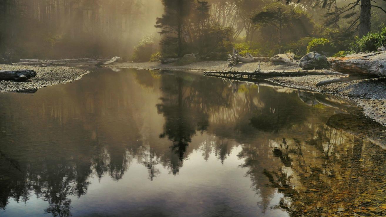 |如何成为“领导”眼中的优秀员工？