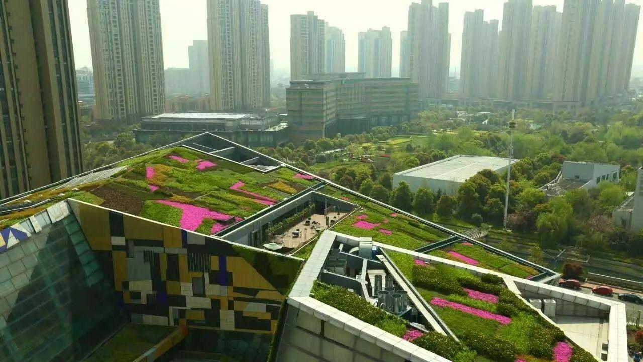 屋顶绿化灌溉都有什么模式？