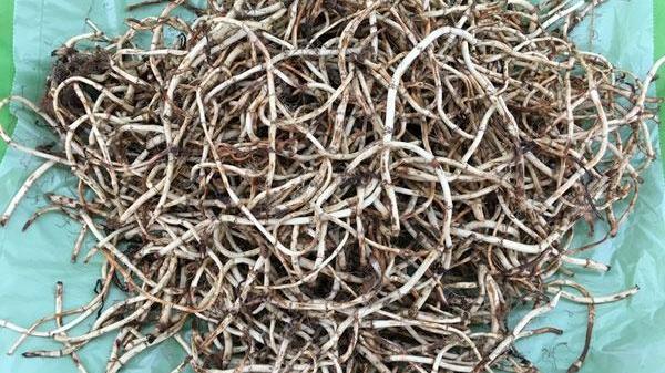 咳嗽|私处总是瘙痒有味是怎么了？常吃这3物，杀菌止痒，预防炎症复发