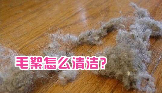 为何家里总有很多“毛絮”？老保姆这样做，毛絮自动消失，快试试