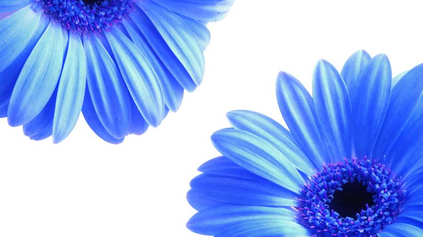 碳酸饮料|午休一小时让你迅速恢复专注力