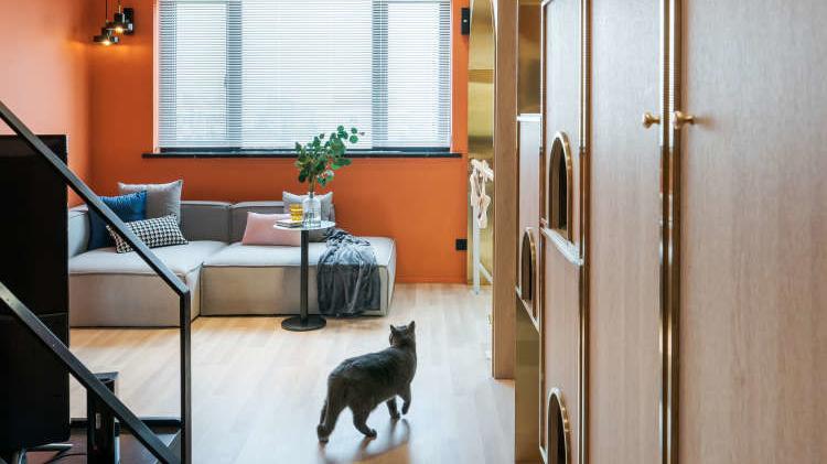 一居室新婚之家，还有顶天露台赏景，家里还给猫咪建了跑道