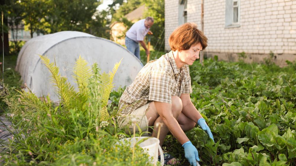 脾胃|男人过了65岁，还具备这三个特征，一般都会长寿