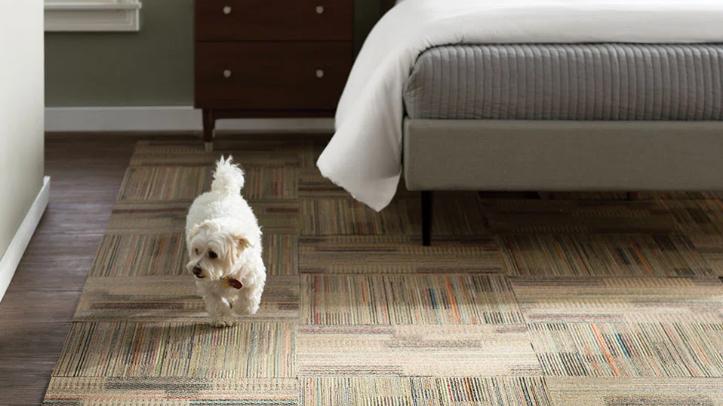 如何为您的房间选择最好的地毯瓷砖