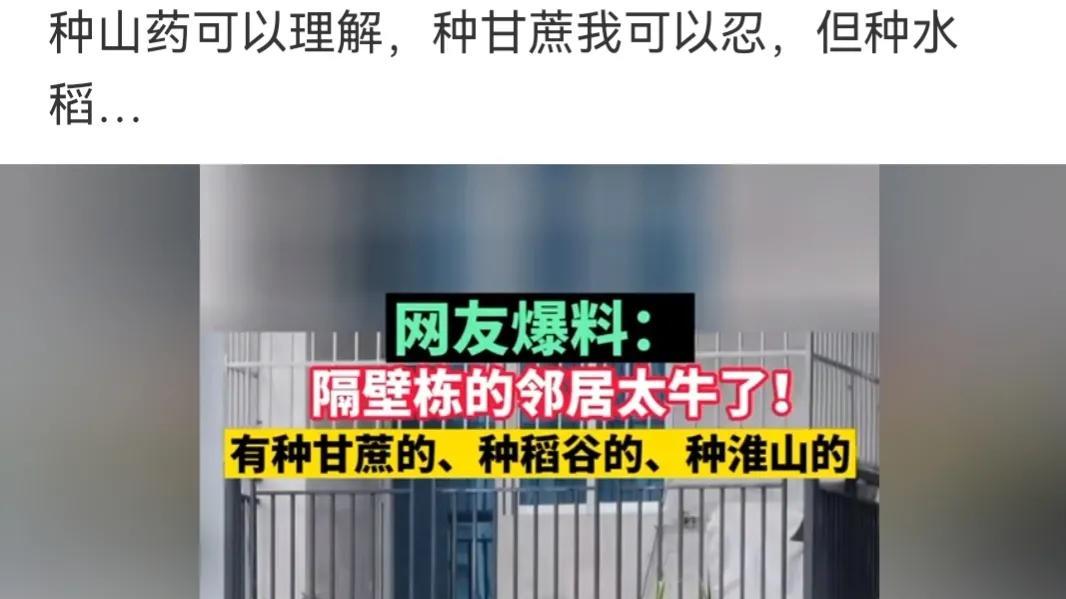 神回复|神回复：演戏最不正经的人，偏偏唱歌是最深情一个人，只要他出场