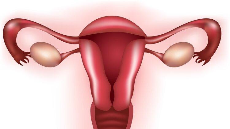 空腹|宫颈糜烂：一种坑了无数女性的“妇科病”，其实与私生活没有关系