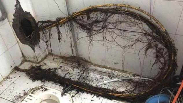 男子郊外买了栋别墅，上厕所时总有奇怪声音，物业凿开墙壁才解决