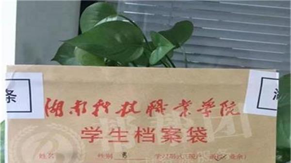 档案不见了怎么办