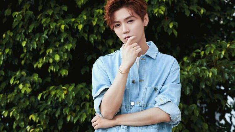 鹿晗|鹿晗为什么不拍戏，粉丝：鹿晗已经实现了财富自由，只想享受生活