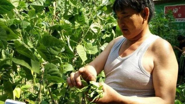 朱之文|朱之文为人很低调，为什么村民们还对他恶语相向？这3点很到位