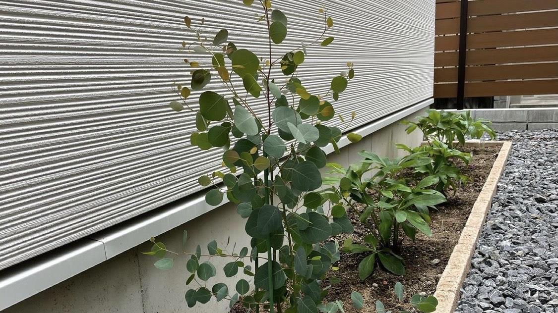 44岁的日本太太，坚持断舍离生活9年，全屋一尘不染，我不得不服