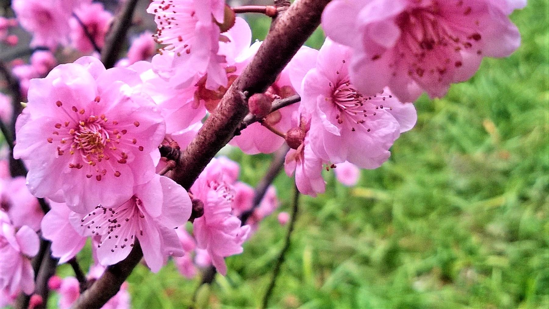 软件|职场说话：与其无话不谈，不如欲言即止