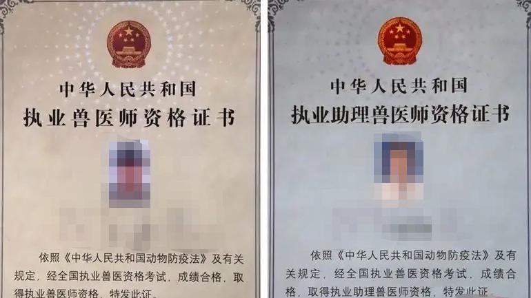 宠物美容 宠物行业有哪些证书可以考？含金量如何？