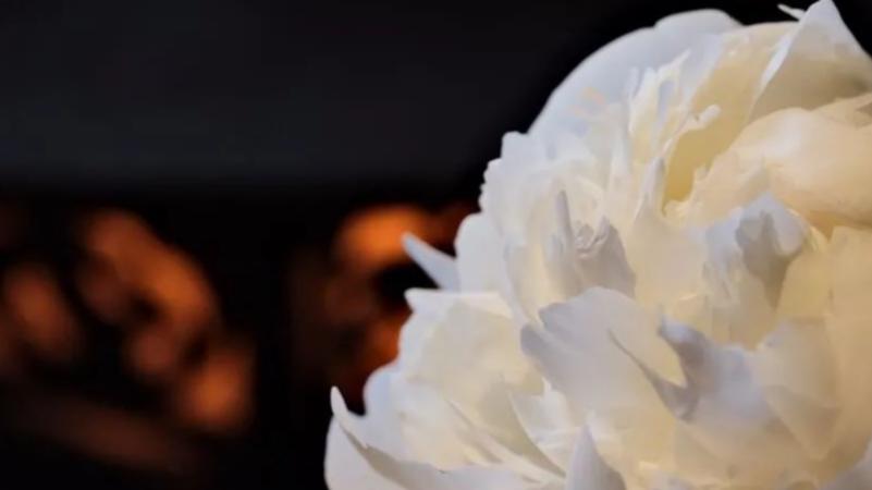 |我未来的职业发展方向应该怎么走，是自己创业还是去找工作？