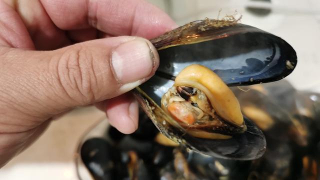 南瓜|入春后，这5种海鲜多给家人吃，好吃不贵，补全营养平安度过春天