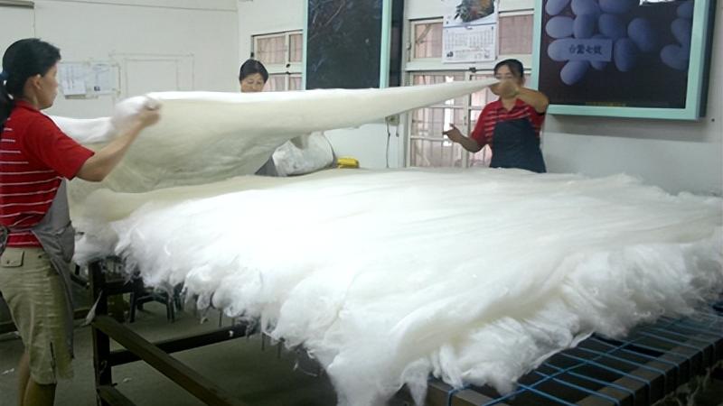 你用了那么久的“蚕丝被”，可能并不是“蚕丝”！你上当了吗？