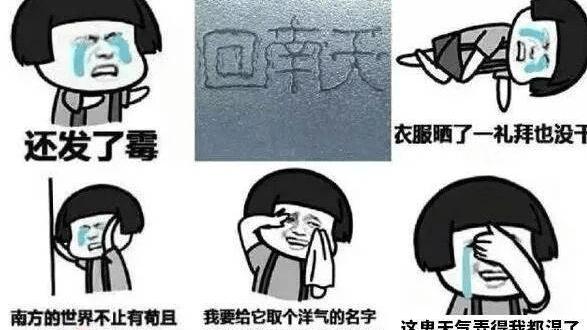 药海淘生活惠|网友直呼：太潮啦！