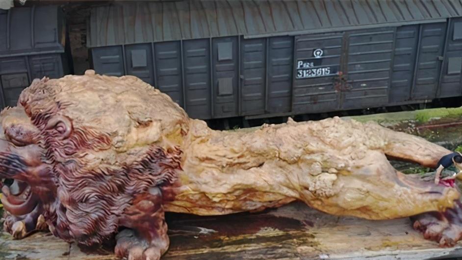 根雕|投200万雕一巨狮300万没卖，开价1000万没人要当成废品搁置5年