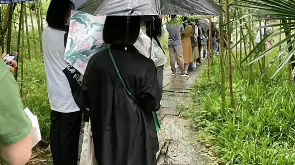 王一博|西溪湿地成王一博粉丝组团打卡地，网友：希望那块石头挺住！